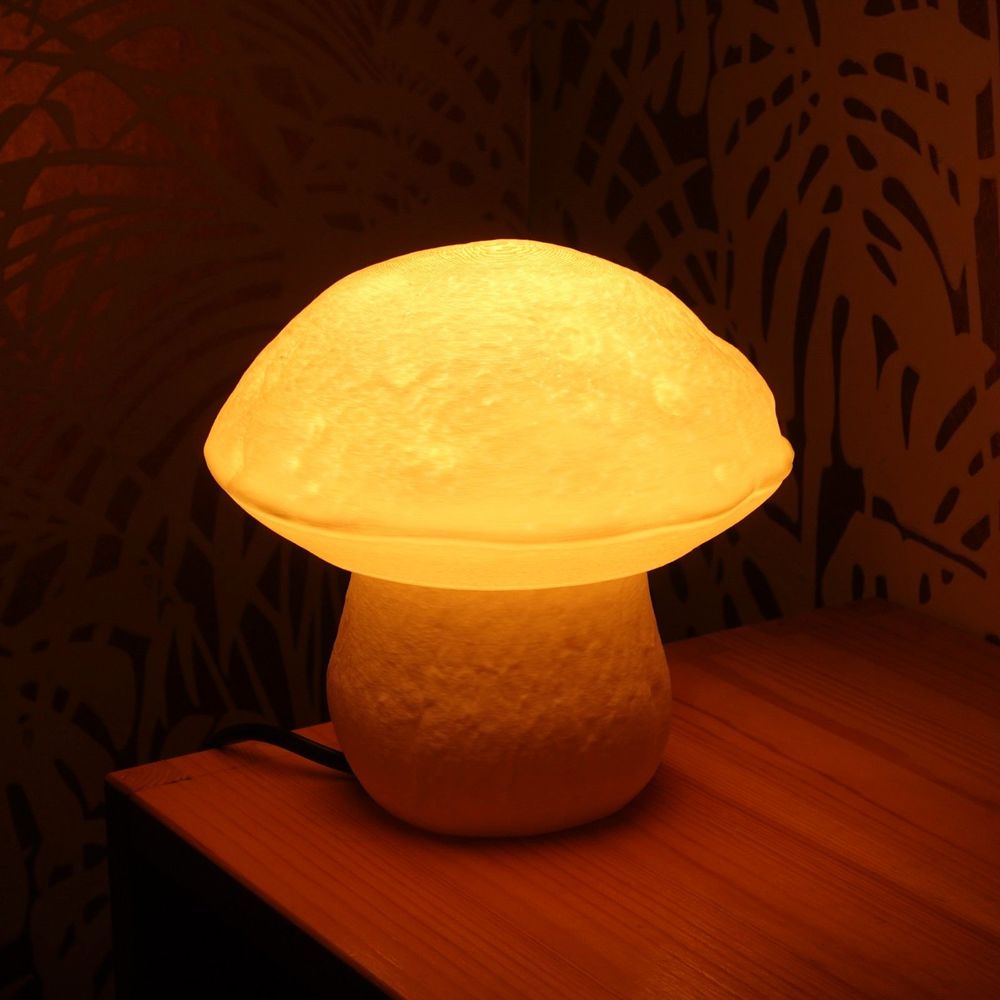 Gazzaladra Edulisfungus Organic Table Lamp, Bedroom Lighting